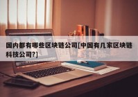 国内都有哪些区块链公司[中国有几家区块链科技公司?]